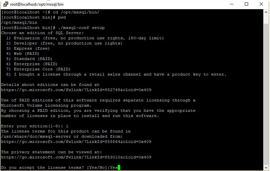 เมื่อตั้งค่าสำเร็จ สคริปท์ก็จะทำการ Start Daemon (Service) ของ Database Engine ทันทีดังรูป