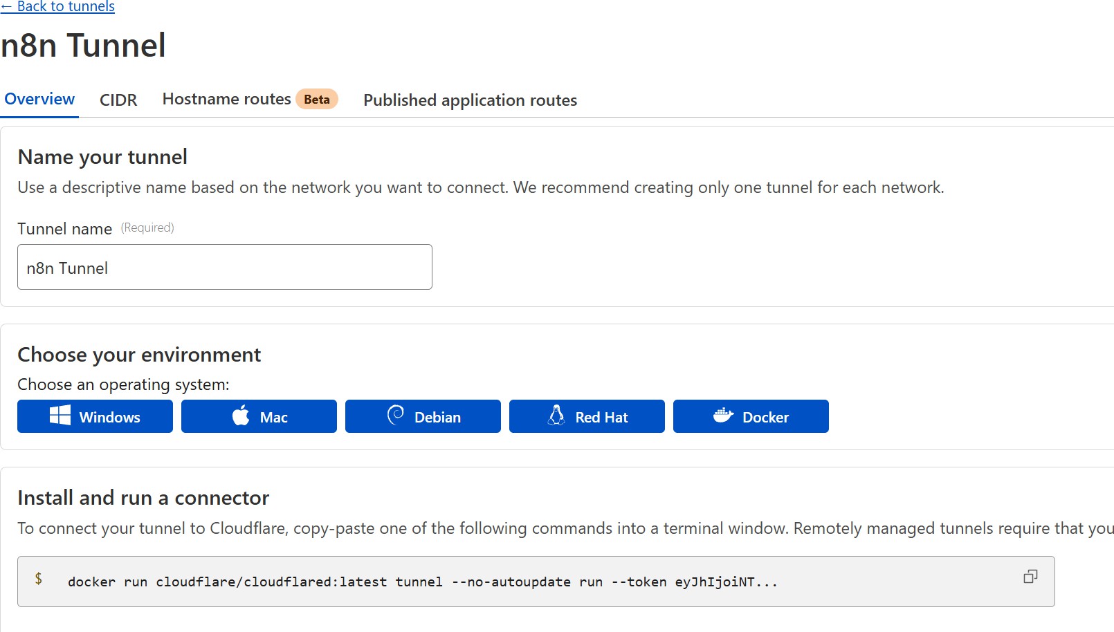 เมื่อเข้าสู่หน้า Overview เลือก Environment เป็น Docker จากนั้น Copy คำ สั่งที่แนะนำ เก็บไว้