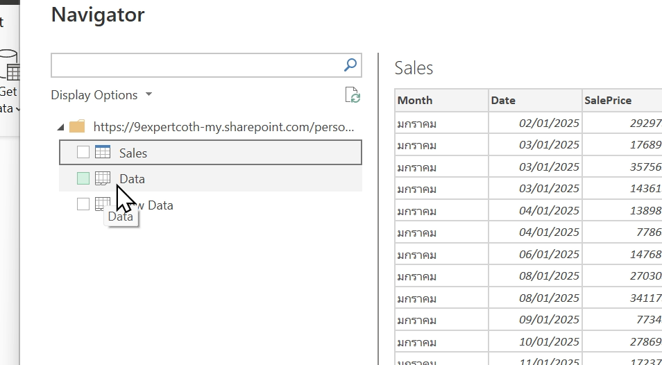ข้อมูลภายในไฟล์ที่อยู่บน Excel Online