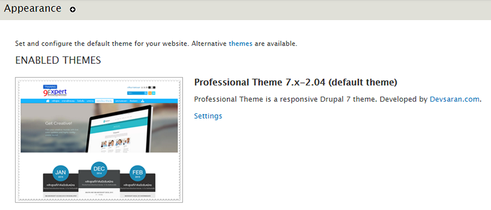 ตัวอย่างของ Theme ของเว็บไซต์ 9ExpertTraining