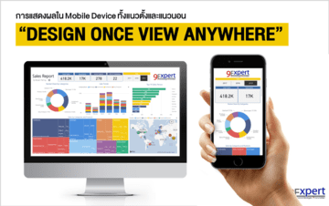 Visualization Report and Mobile Report