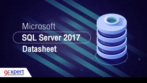 Microsoft SQL Server 2017 Datasheet ( 2 )
