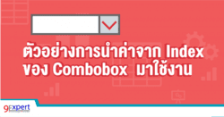 ตัวอย่างการนำค่าจาก Index ของ Combobox มาใช้งาน
