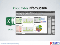 Pivot Table for your business เพื่องานธุรกิจ