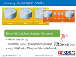 recovery-model-9expert-2