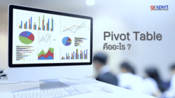 Pivot Table คืออะไร