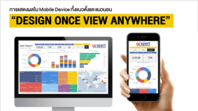 Visualization Report and Mobile Report
