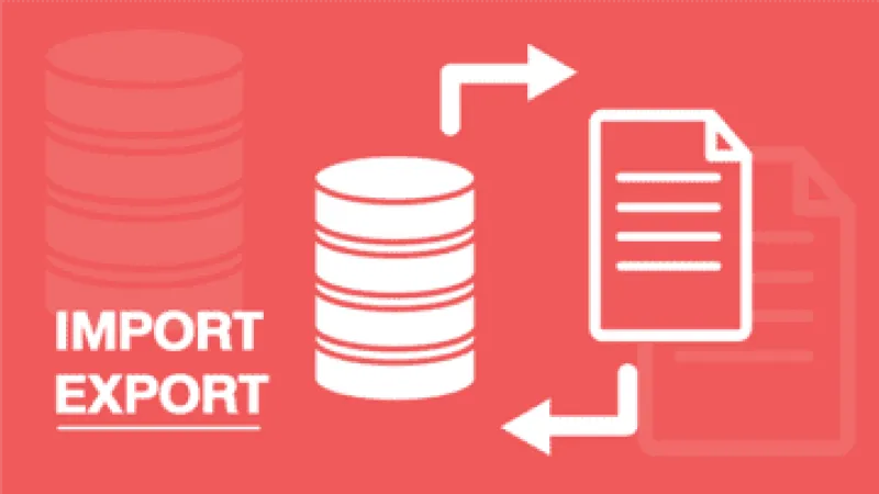 Import and Export